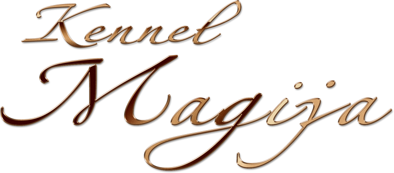 , logo 