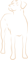 lin